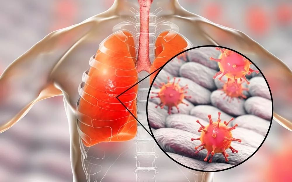 好博体育-今夜罗马备战NBA常规赛;门线救险细节曝光;目标明确;医务组通报恢复